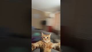 Baby run round 