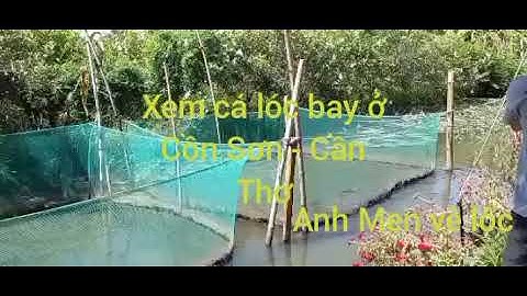 Xem cá lóc bay ở Cồn Sơn - Cần Thơ