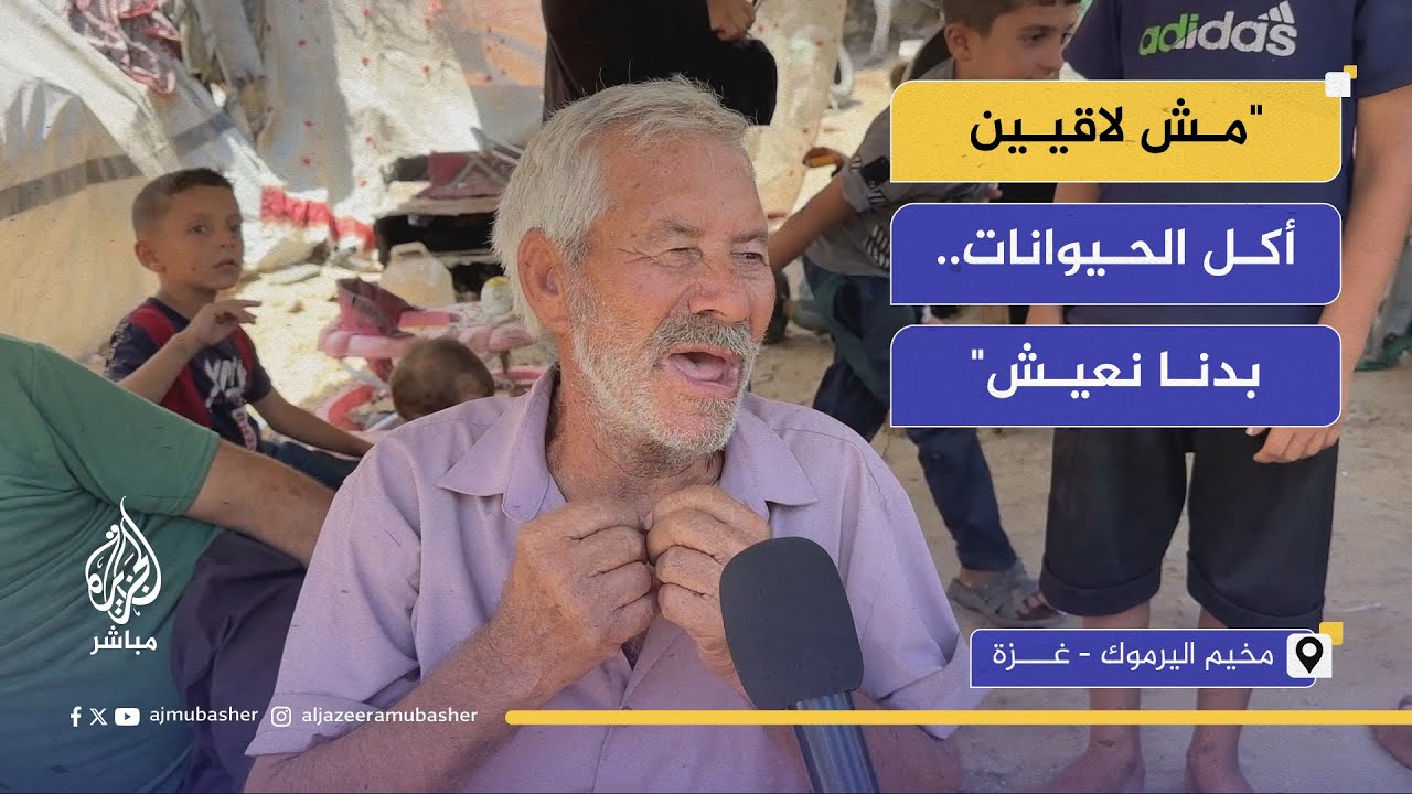 نازح فلسطيني: مش لاقيين حتى أكل الحيوانات بدنا نعيش زي الناس