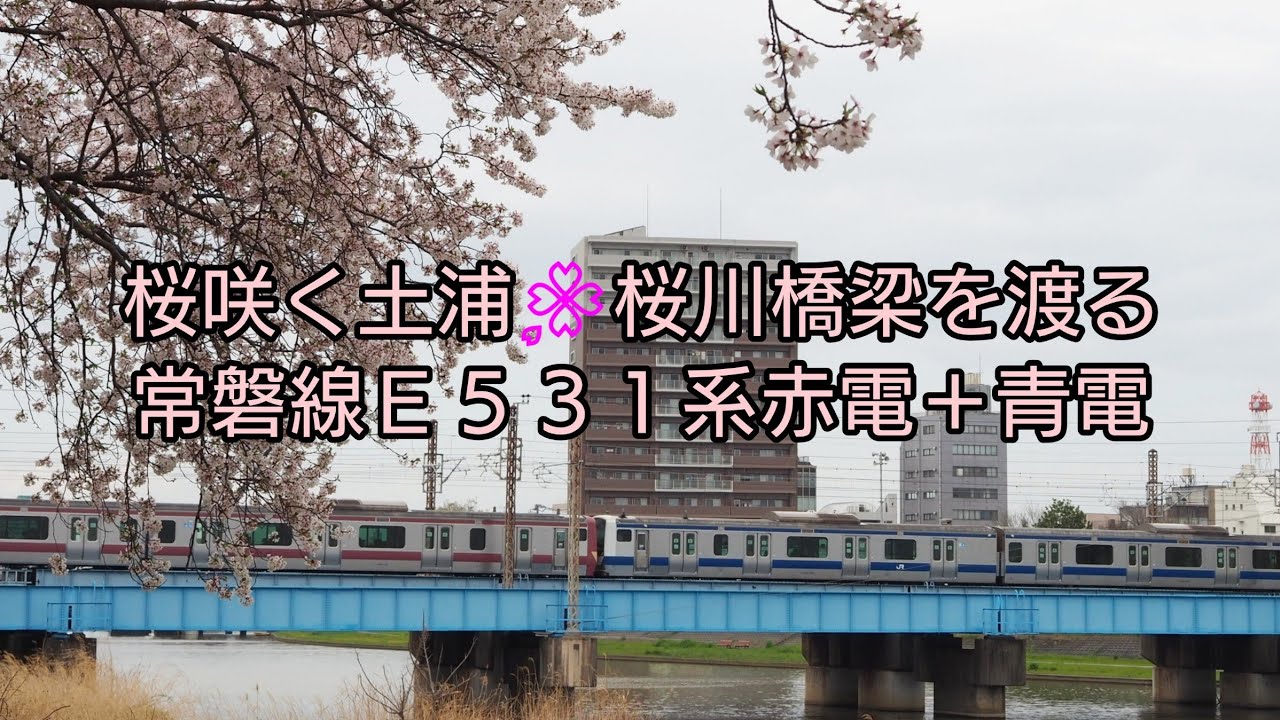 桜咲く土浦桜川橋梁を渡る常磐線E531系赤電＋青電 - YouTube