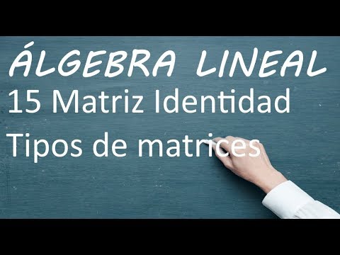 Matriz Identidad - 15 - Álgebra lineal para IA, machine learning