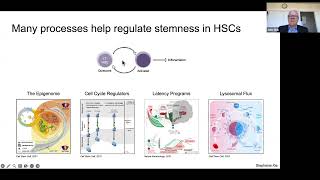 What Makes a Stem Cell a Stem Cell and How Does It Go Bad