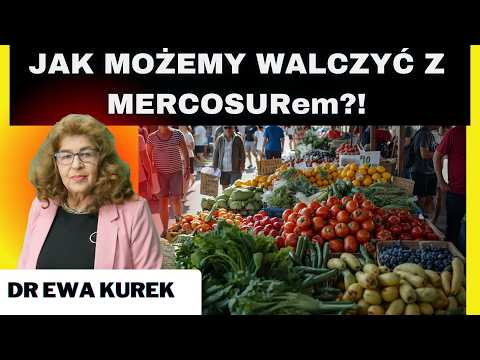 Dr Ewa Kurek - umowa z krajami MERCOSUR wchodzi w życie!