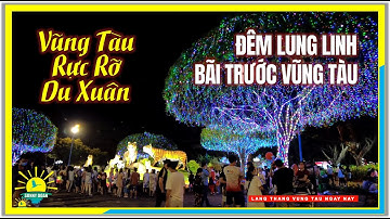 VŨNG TÀU RỰC RỠ DU XUÂN / Lung Linh Bãi Trước Vũng Tàu / Vũng Tàu Ngày Nay