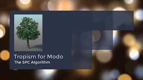 1-Tropism for Modo, Introduction (The SPC-algorithm)