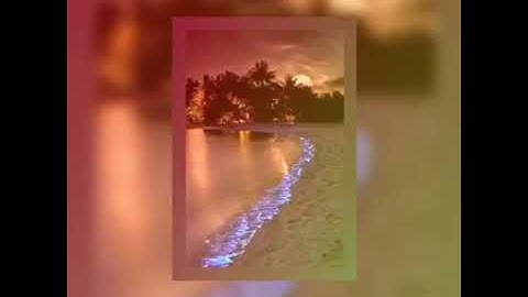 آيات من الذكر الحكيم من سورة المؤمنون... يوسف العيدروس حفظه الله