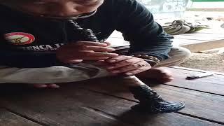 Download Lagu Wangsit Siliwangi Cover Nyanyang Tarompet MP3