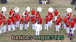 BANDAS ORQUESTAS PARA BAILAR 💃🕺 2020