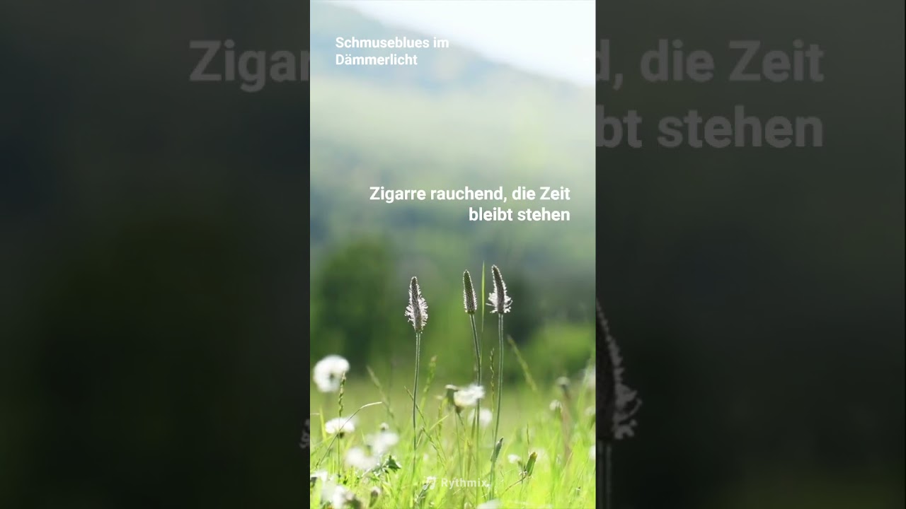 Schmuseblues im Dämmerlicht, create by tomieze