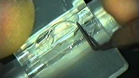 The Rayner Single Use Soft-Tipped Injector Loading Procedure
