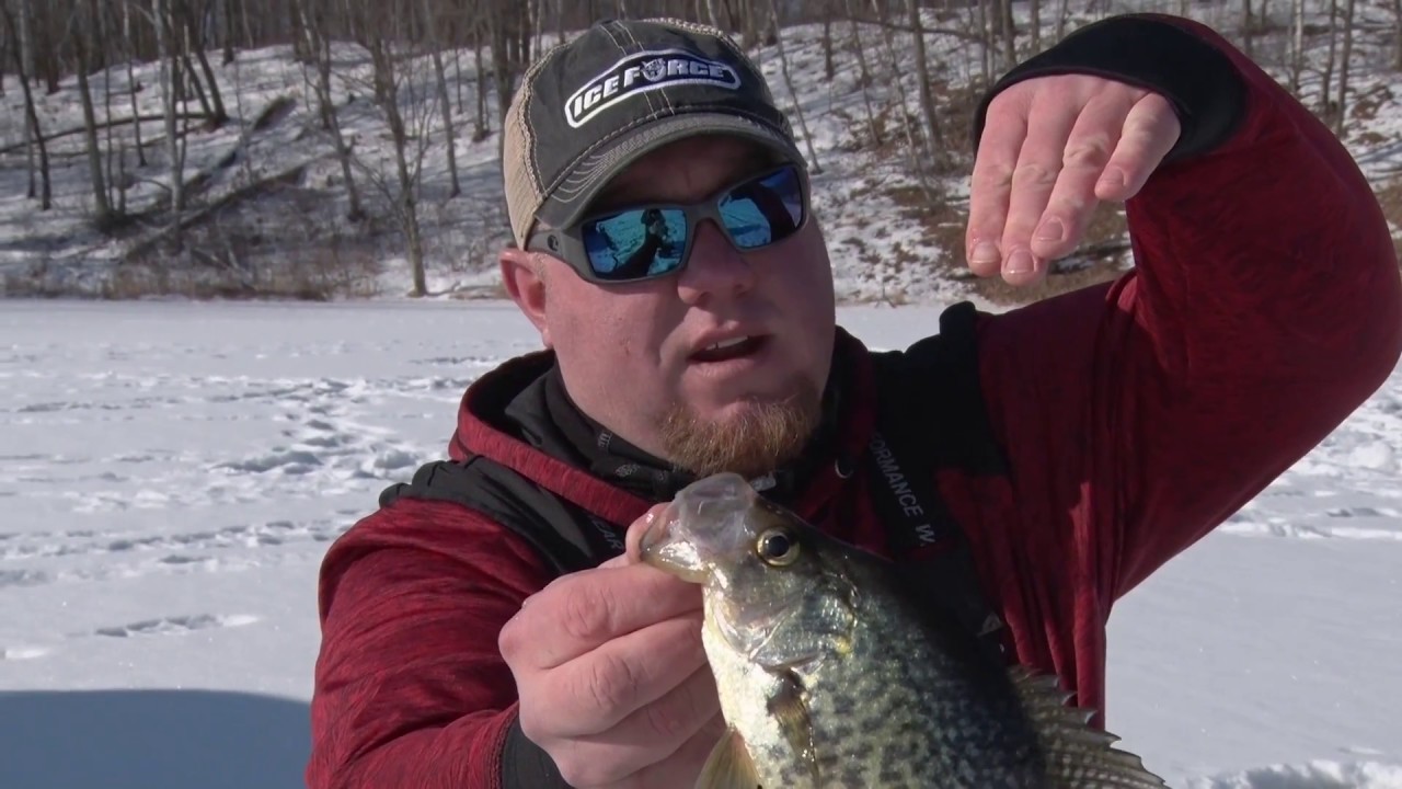 Minnesota Panfish on Ice With Brad Hawthorne YouTube