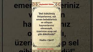 Azap Sel Olurdu Üzelsözler Şfet