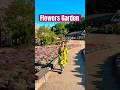 Flower Garden In Japan. #fyp #viralvideo #japan #flowers -#shorts