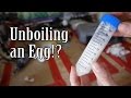 we unboil an egg at home