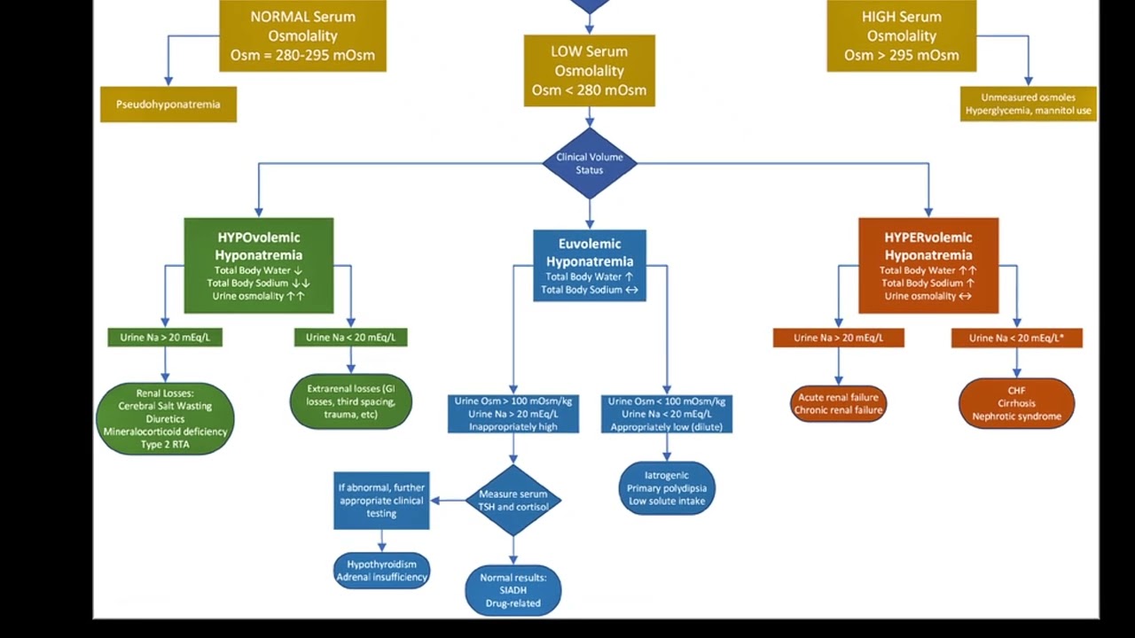 Decoding Hyponatremia: The Essential Diagnostic Algorithm. 
