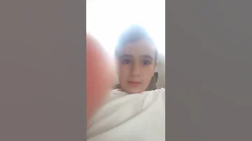 מבקרי אמסהער 