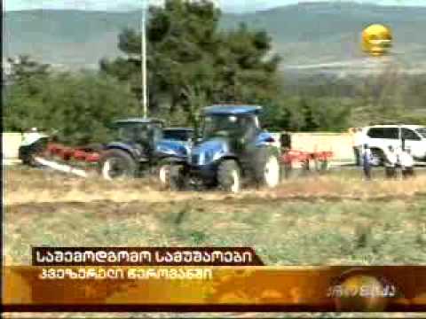 რეკომენდაცია გლეხებს