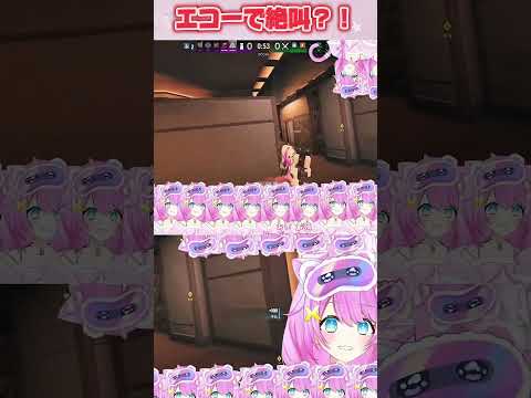 エコーで絶叫？！#vtuber #ゲーム実況 #rainbowsixseige #シージ #r6s