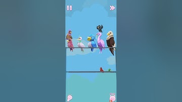 Perfect Tidy: Level 14 - Birds, Gameplay Walkthrough