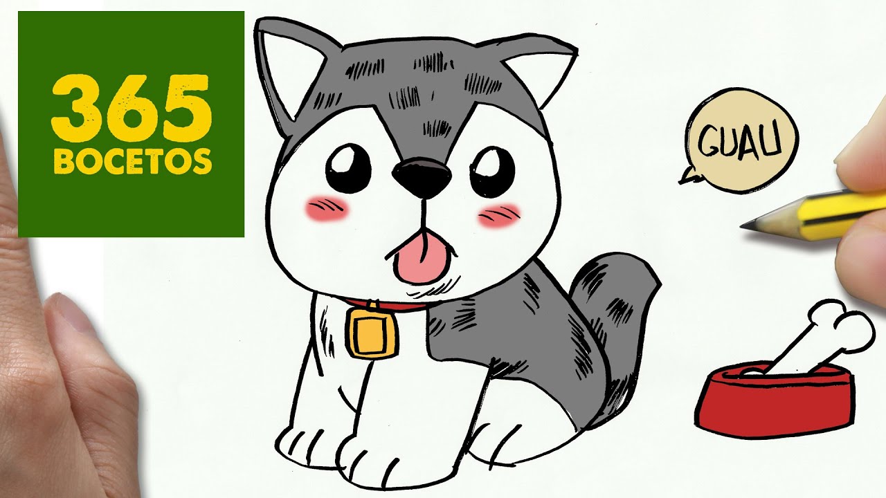 COMO DIBUJAR UN PERRO HUSKY PASO A PASO: Os enseñamos a dibujar un perro  fácil para niños - thptnganamst.edu.vn