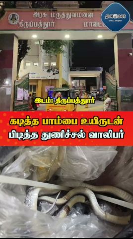 கடித்த பாம்பை உயிருடன் பிடித்த துணிச்சல் வாலிபர்