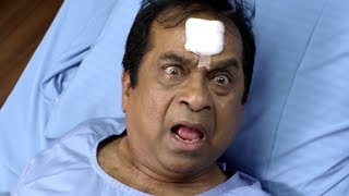 Brahmanandam Non Stop Comedy Scenes | Volga Videos