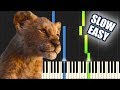 Circle Of Life - The Lion King 2019 | SLOW EASY PIANO TUTORIAL + SHEET MUSIC by Betacustic