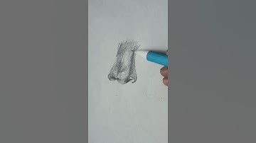 A Realistic Drawing of Nose - Easy