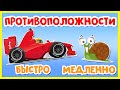 УЧИМ СЛОВА ПРОТИВОПОЛОЖНОСТИ ДЛЯ ДЕТЕЙ ❤️ БОЛЬШОЙ 🐘 МАЛЕНЬКИЙ 🐭 БЫСТРО 🏎 МЕДЛЕННО 🐌 РАЗВИВАШКА