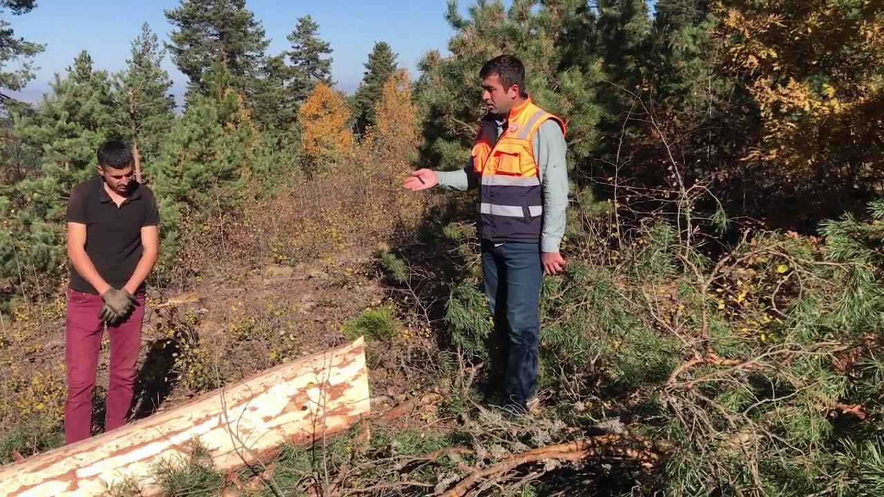 Boylama Nasıl Yapılır