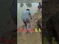 ये chocalate candy नहीं है 😁 #family #funny #avanishkumarverma #folksong #song #telugusongs #life