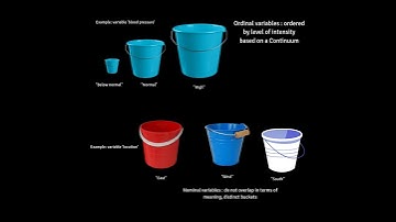 Categorical Variables