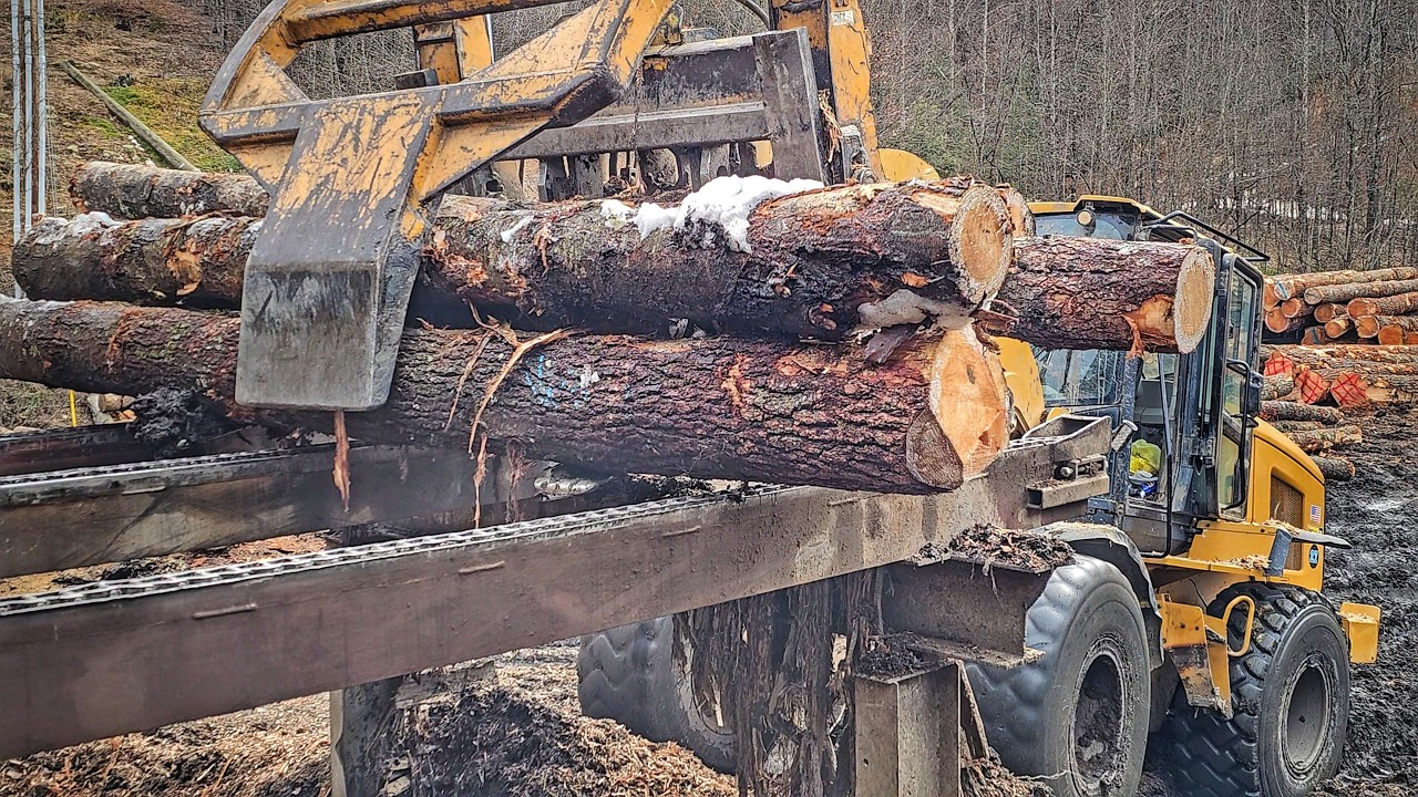 Turning LOGS into LOG HOMES!!!