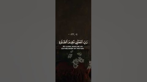 #قرآن #تلاوة_خاشعة #القارئ أحمد النفيس
