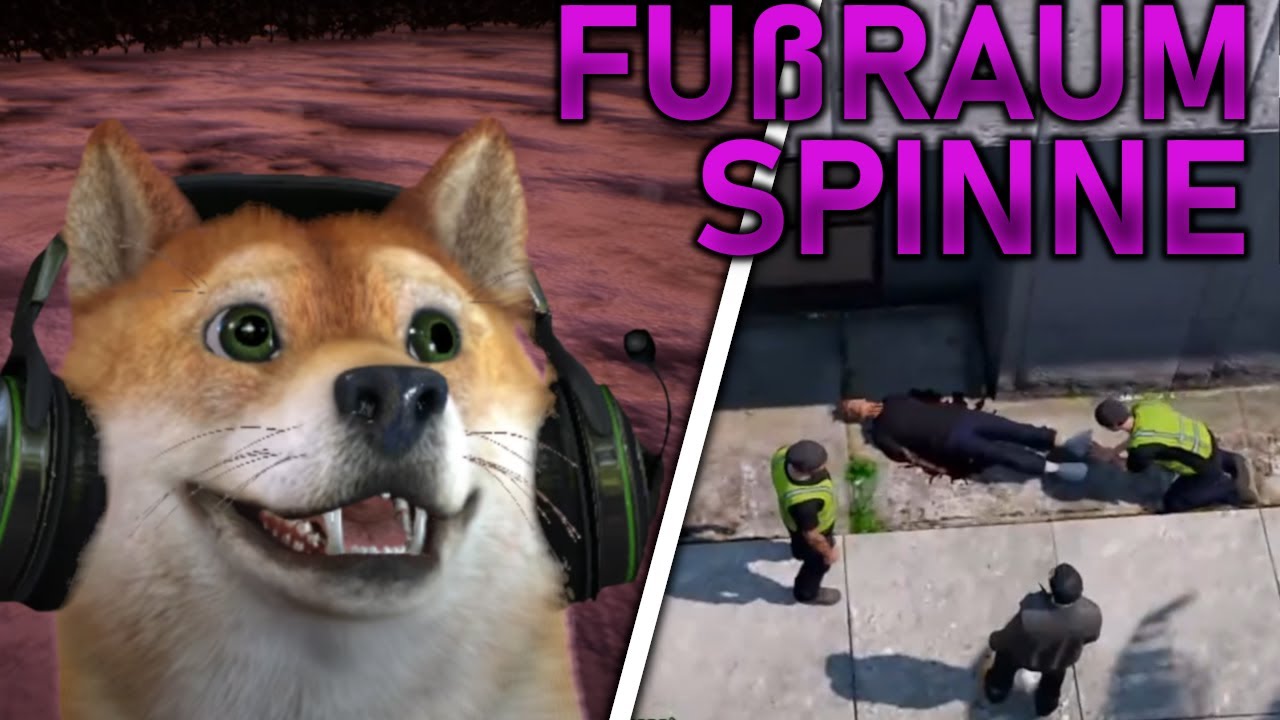 FUßRAUMSPINNE/ RLO 2.0/ CSYON HIGHLIGHT