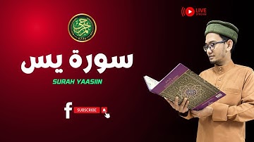 FULL SURAH YAASIIN - Nasaei Najmi | سورة يس كاملة للقارئ نسائي نجمي