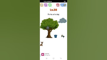 Brain fun level 38 walkthrough solution