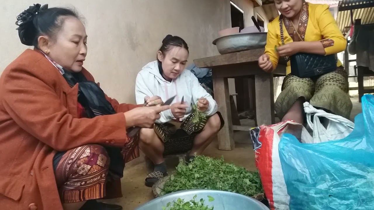 ຂັບໄຕ໋ແດງ ໂດຍ: ນ.ຮຽງພອນ