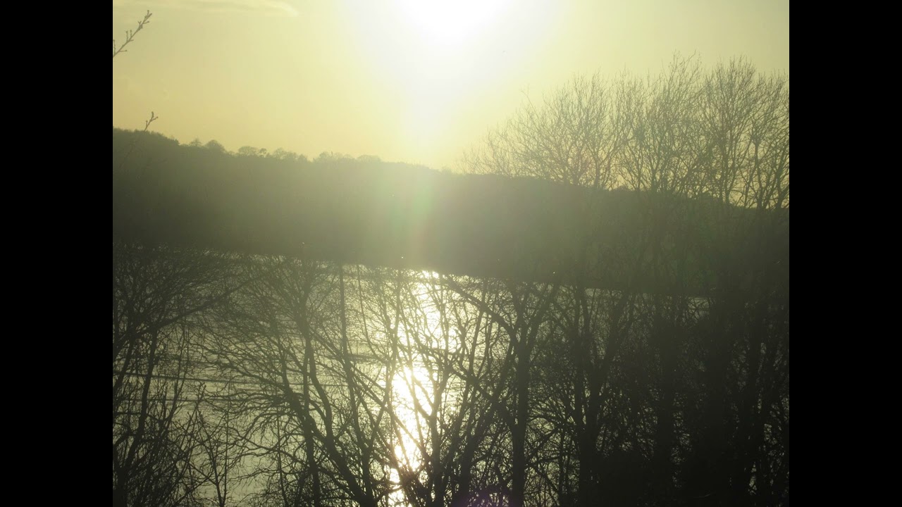 Palest shade of blue - Matriarch