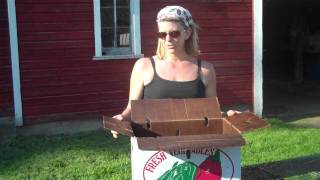 CSA Boxes