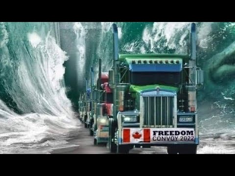 Videó: Miért fontos a favágó ipar Kanadában?