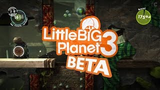 LittleBigPlanet 3 Beta: [LBP3SC] Cursory Coppice by Deadmn