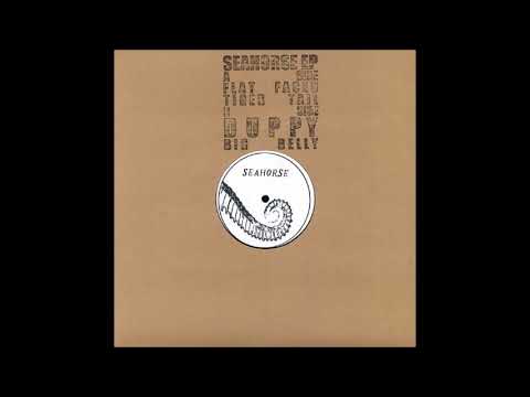 Seahorse - Flat Faced - YouTube