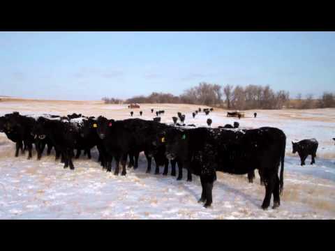 Travis Gebhart Ranch