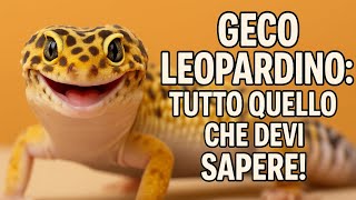 GECO LEOPARDINO TUTTO QUELLO CHE DEVI SAPERE
