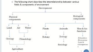 screenshot of the youtube video