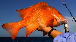 Australian Fishing Charters - West Moore Island - Full Episode