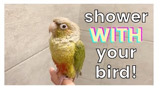 HOW TO SHOWER WITH YOUR BIRD! | Do You Shower With Your Bird?