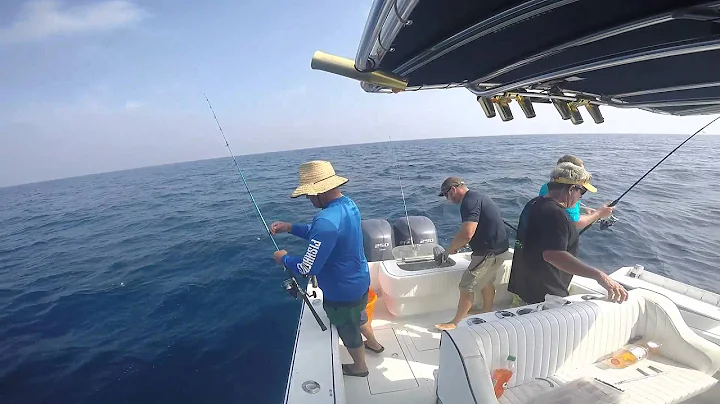 Red Grouper - Billy Nobles - Gilyot