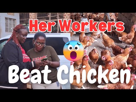 Challenges that poultry farmers face and how to solve them!Her farmers beat hens and kill them!
